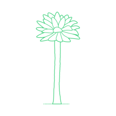 Plants Cycads Palm Corcho Craft Design Svg File, Free Vectors File